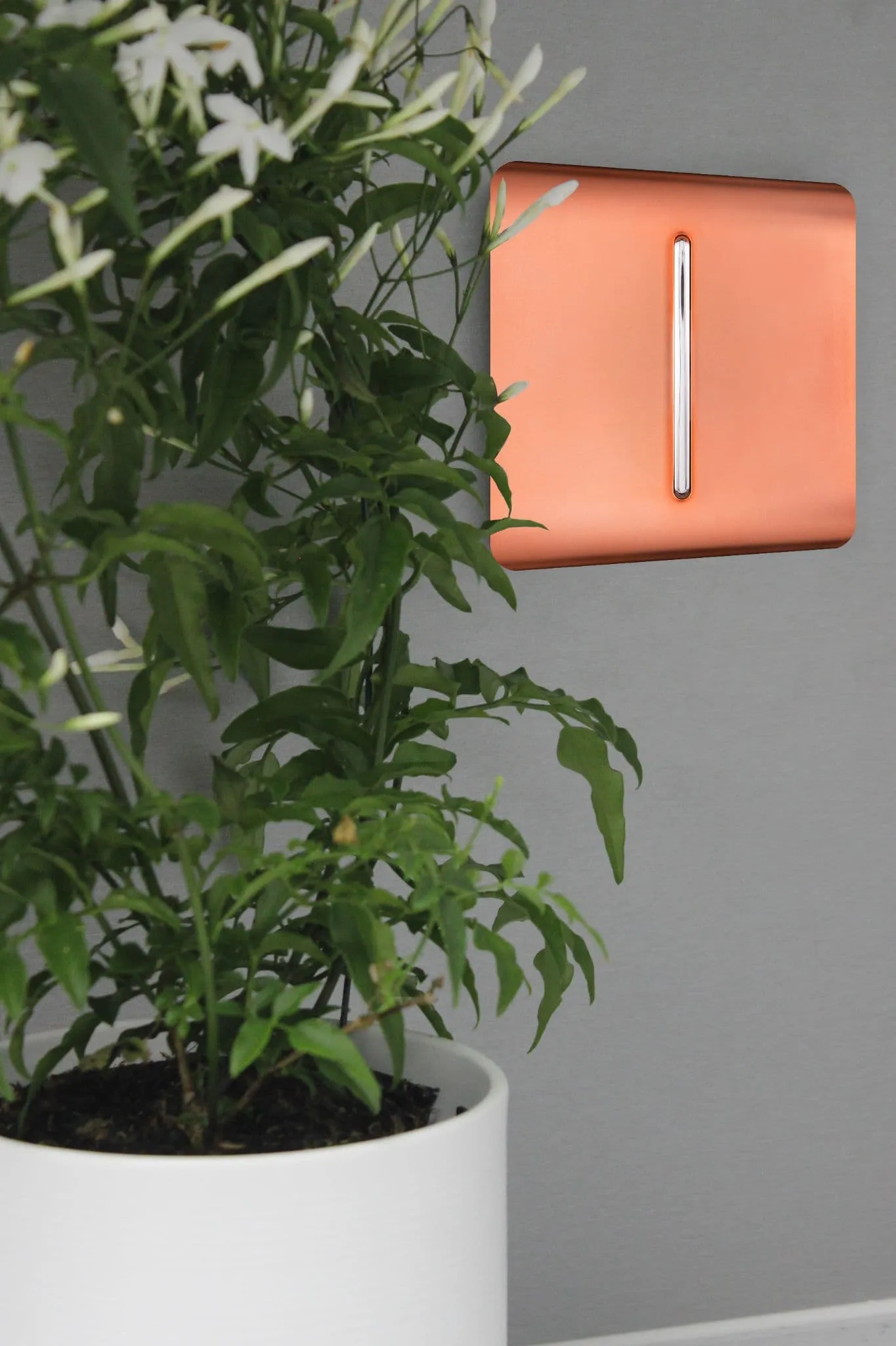 Copper Wiring Accessories Trendi Decorative Screwless Copper Wiring Accessories Trendi Decorative Screwless